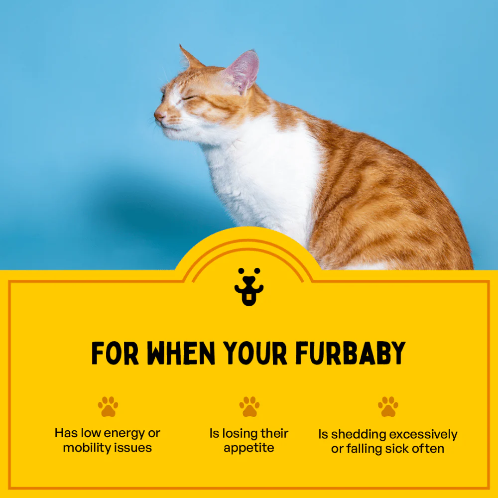 Furlicks Multivitamin for Cats and Dogs - Image 6
