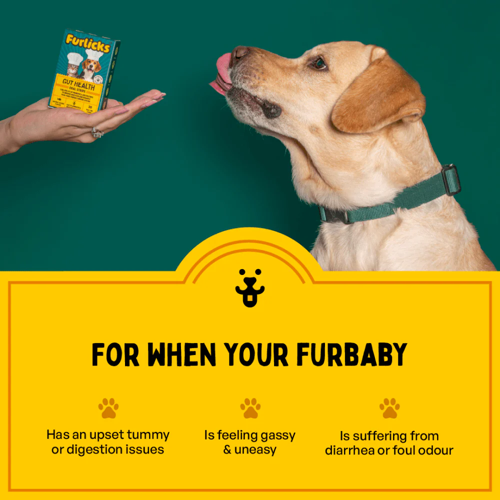 Furlicks Skin & Coat & Gut Health Supplement Combo for Dogs & Cats - Image 12