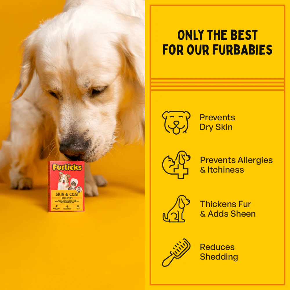 Furlicks Skin & Coat Supplement for Cats and Dogs - Image 3