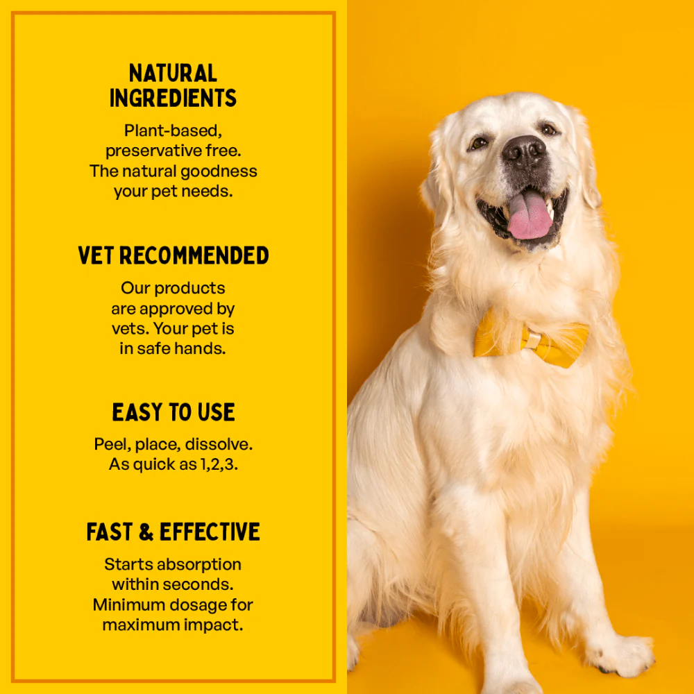 Furlicks Skin & Coat Supplement for Cats and Dogs - Image 4