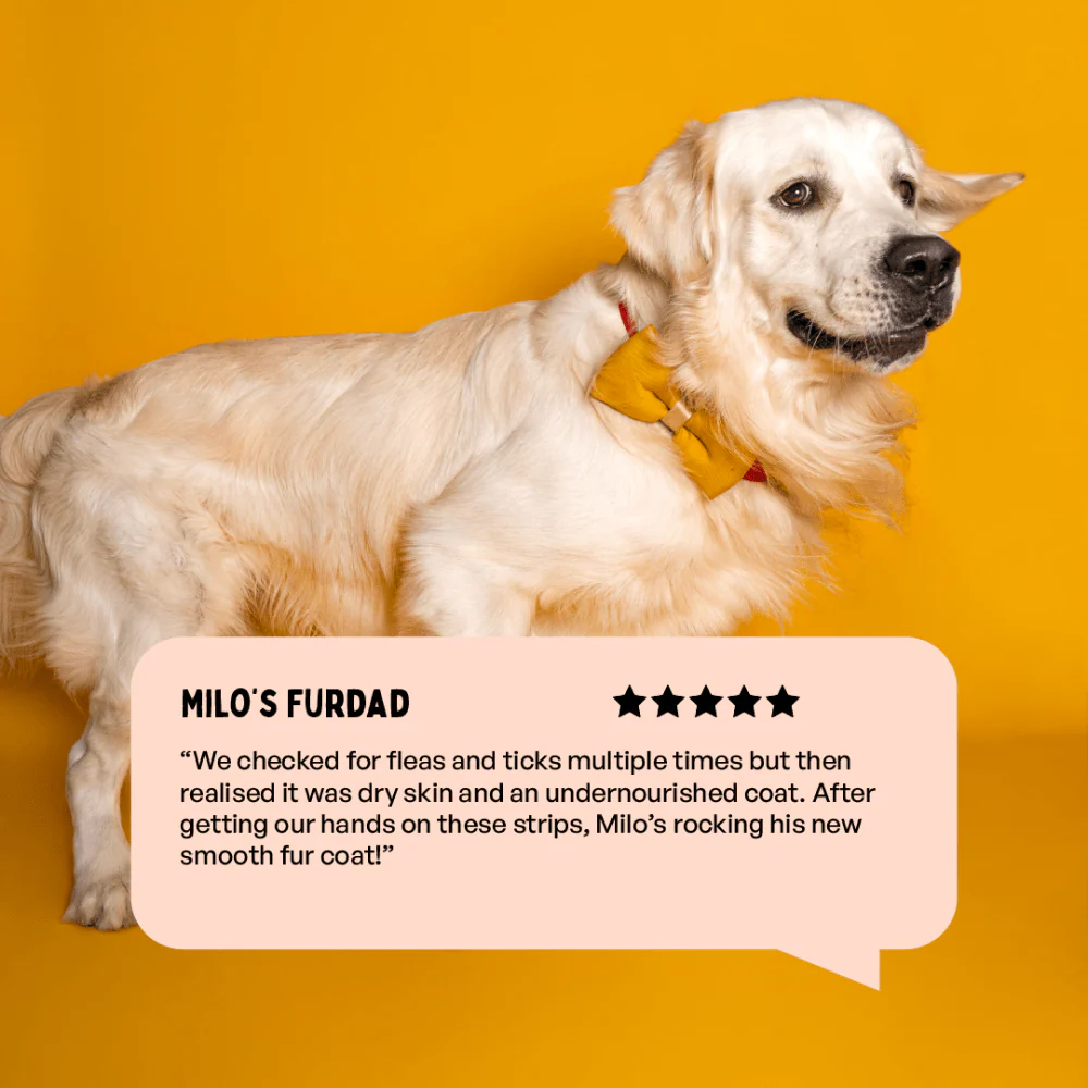 Furlicks Skin & Coat Supplement for Cats and Dogs - Image 7