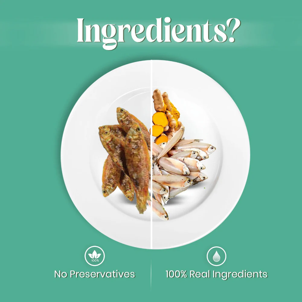 FurLoved Anchovies and Turmeric Omega Dog Treats - Image 2