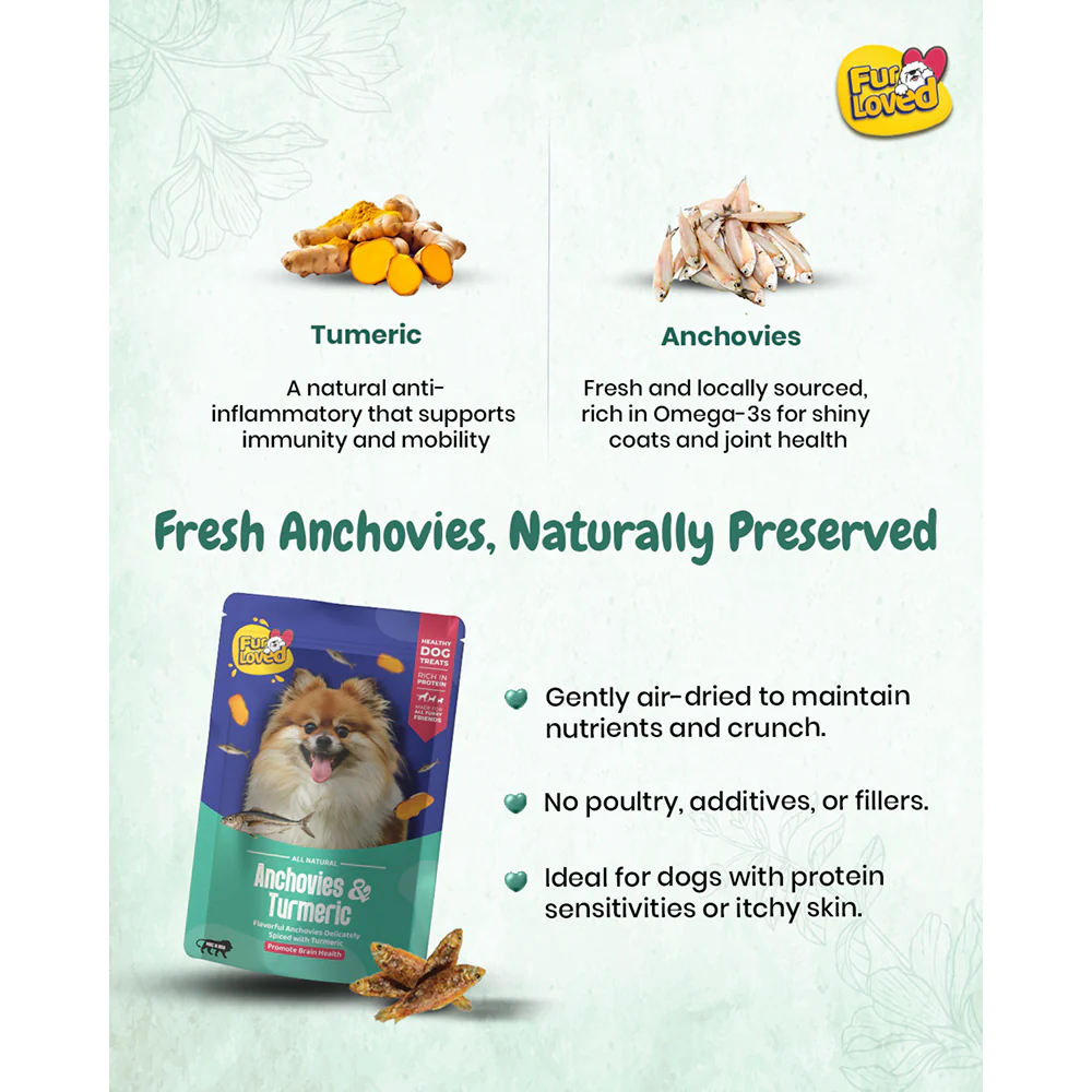 FurLoved Anchovies and Turmeric Omega Dog Treats - Image 3