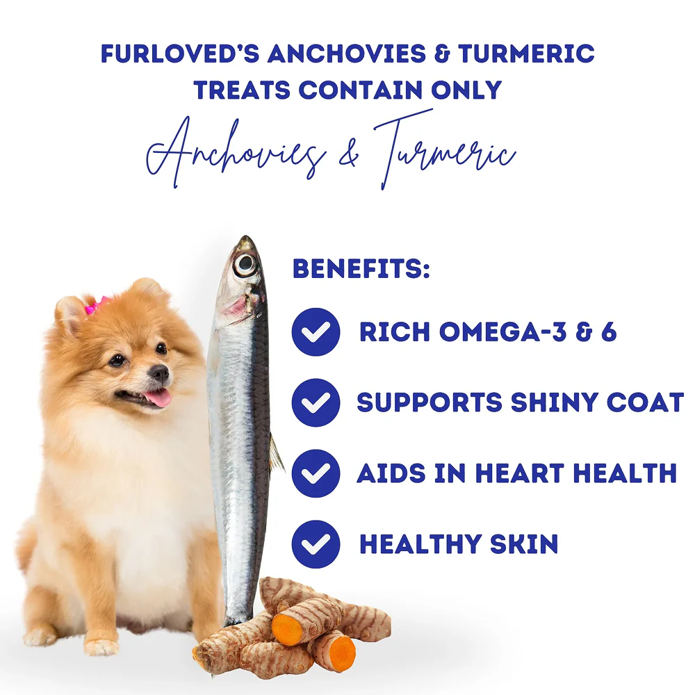 FurLoved Anchovies and Turmeric Omega Dog Treats - Image 6