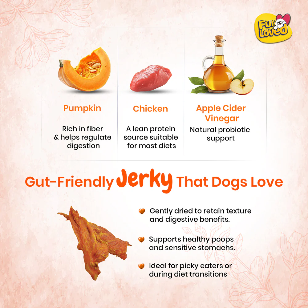 FurLoved Chicken and pumpkin High Protein Dog Treats - Image 3