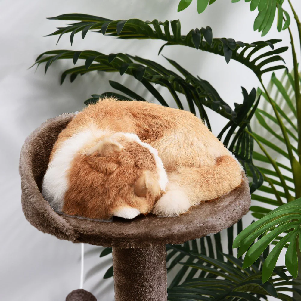 Furrlovers 3 Tier Stairs with Scratching Posts Cat Tree with Plush Bed (Brown) - Image 3