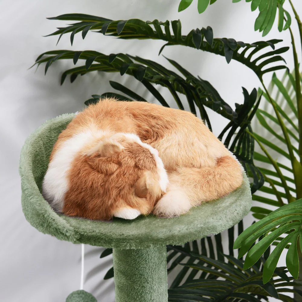 Furrlovers 3 Tier Stairs with Scratching Posts Cat Tree with Plush Bed (Green) - Image 2