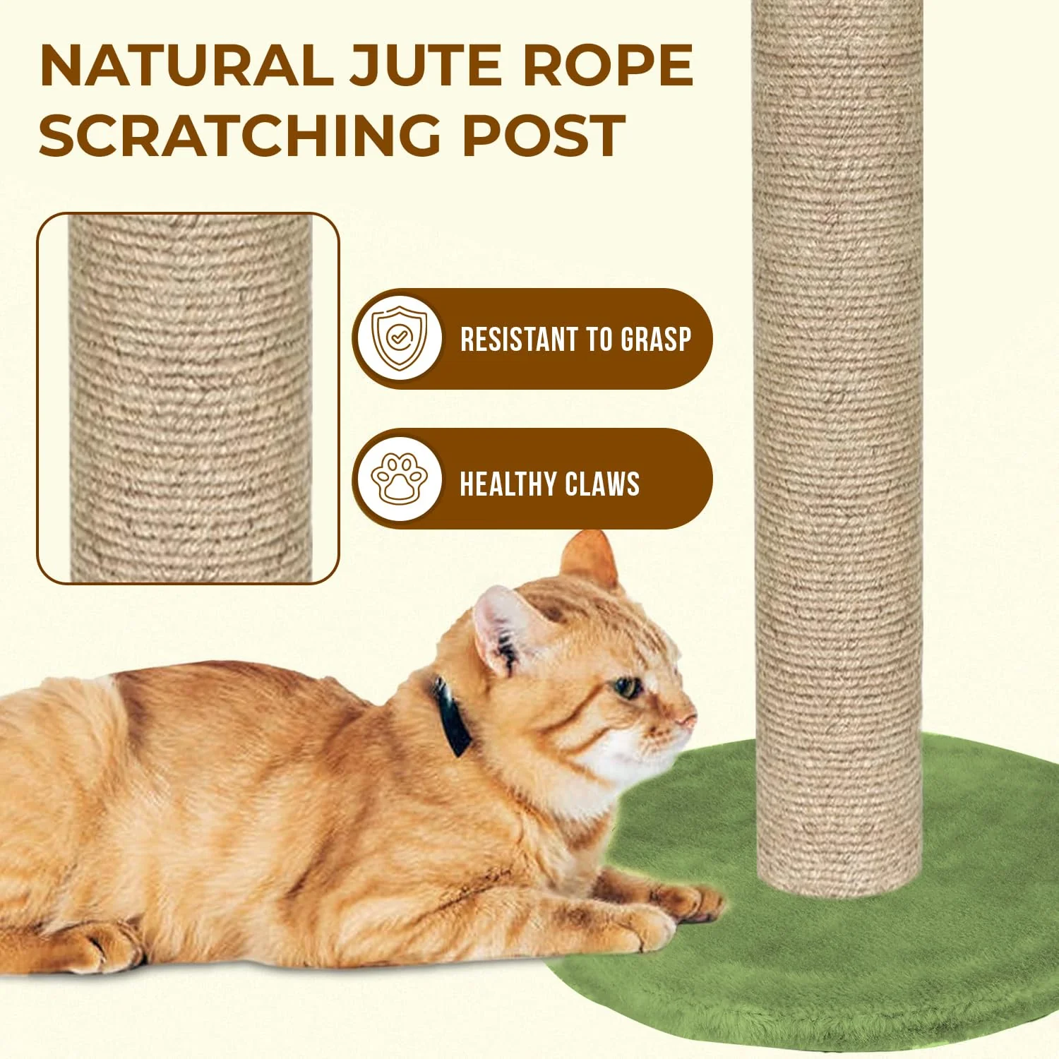Furrlovers Cactus Scratching Post with Rope Wrapped Climbing Tower & Plush Top for Cats (Green) - Image 3