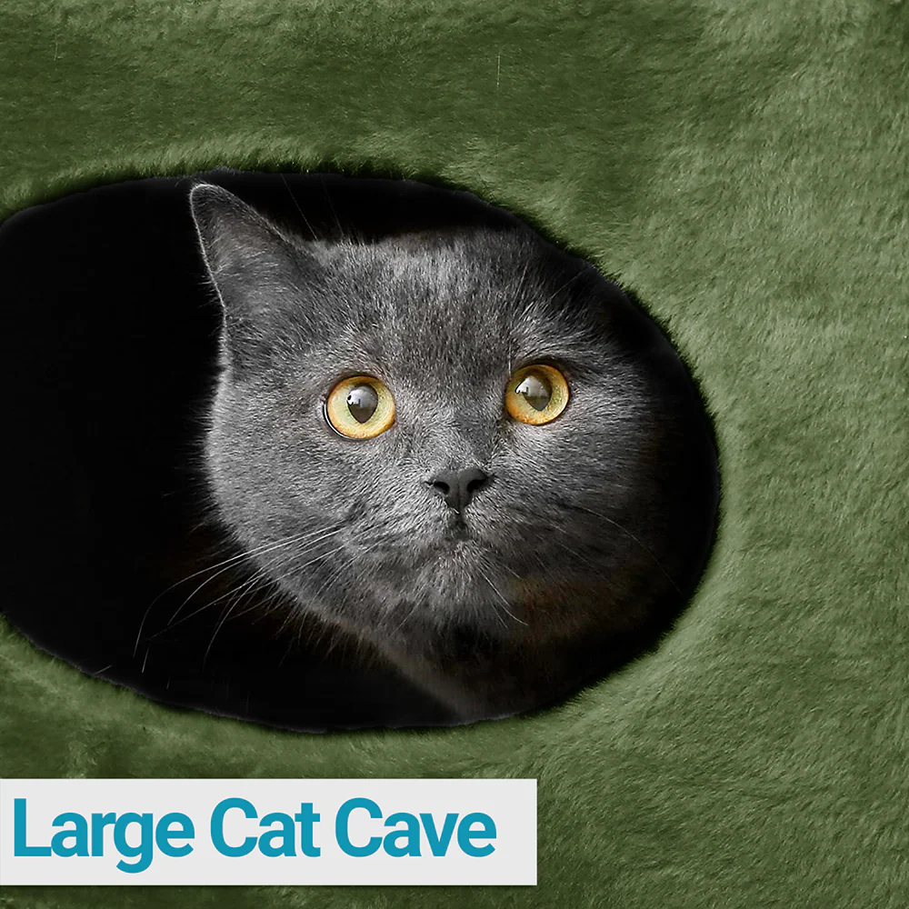 Furrlovers House with Plush Cushion for Cats (Green) - Image 3