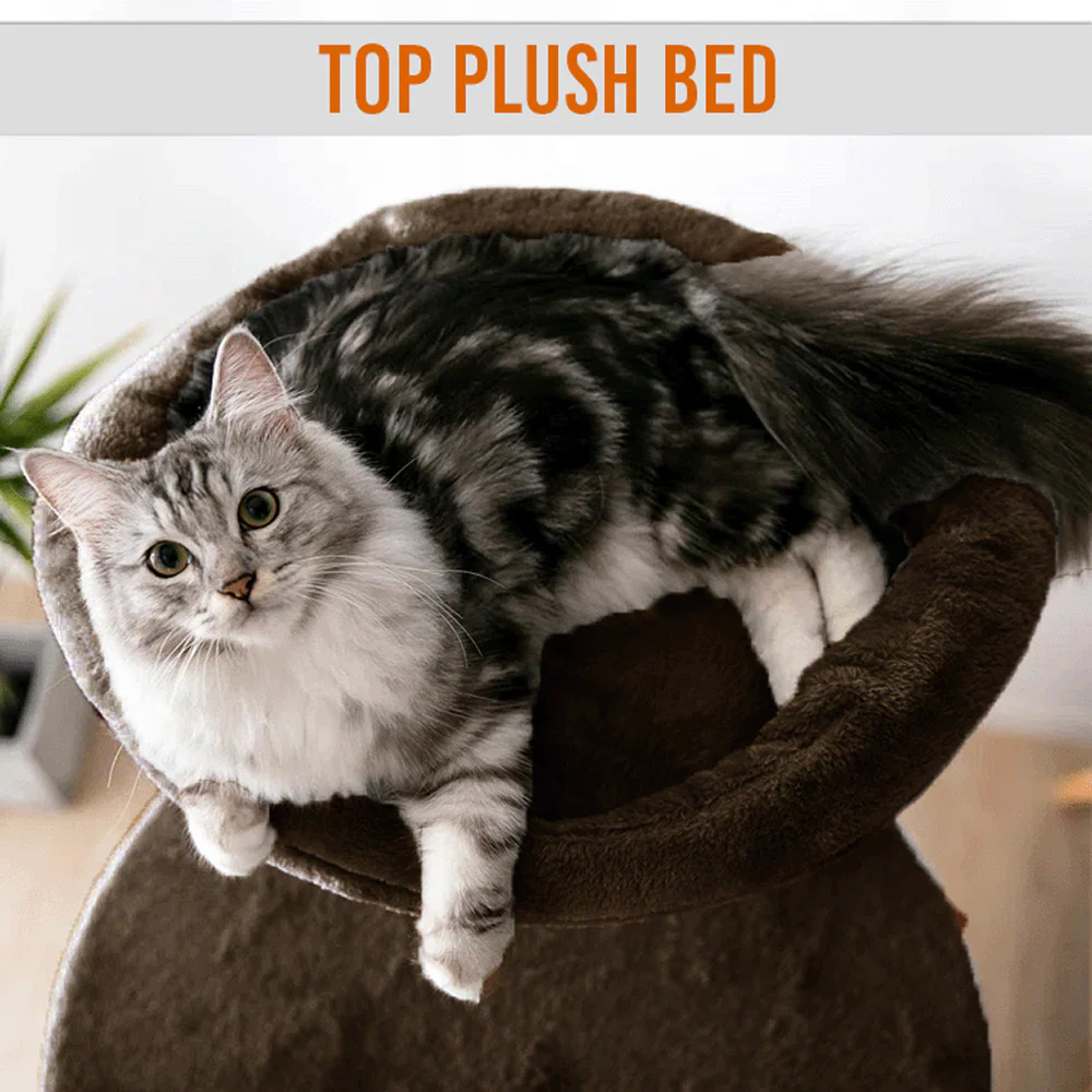 Furrlovers Multi Level Cat Tree Tower with Scratching Posts, Hammock & Condo (Brown) - Image 3