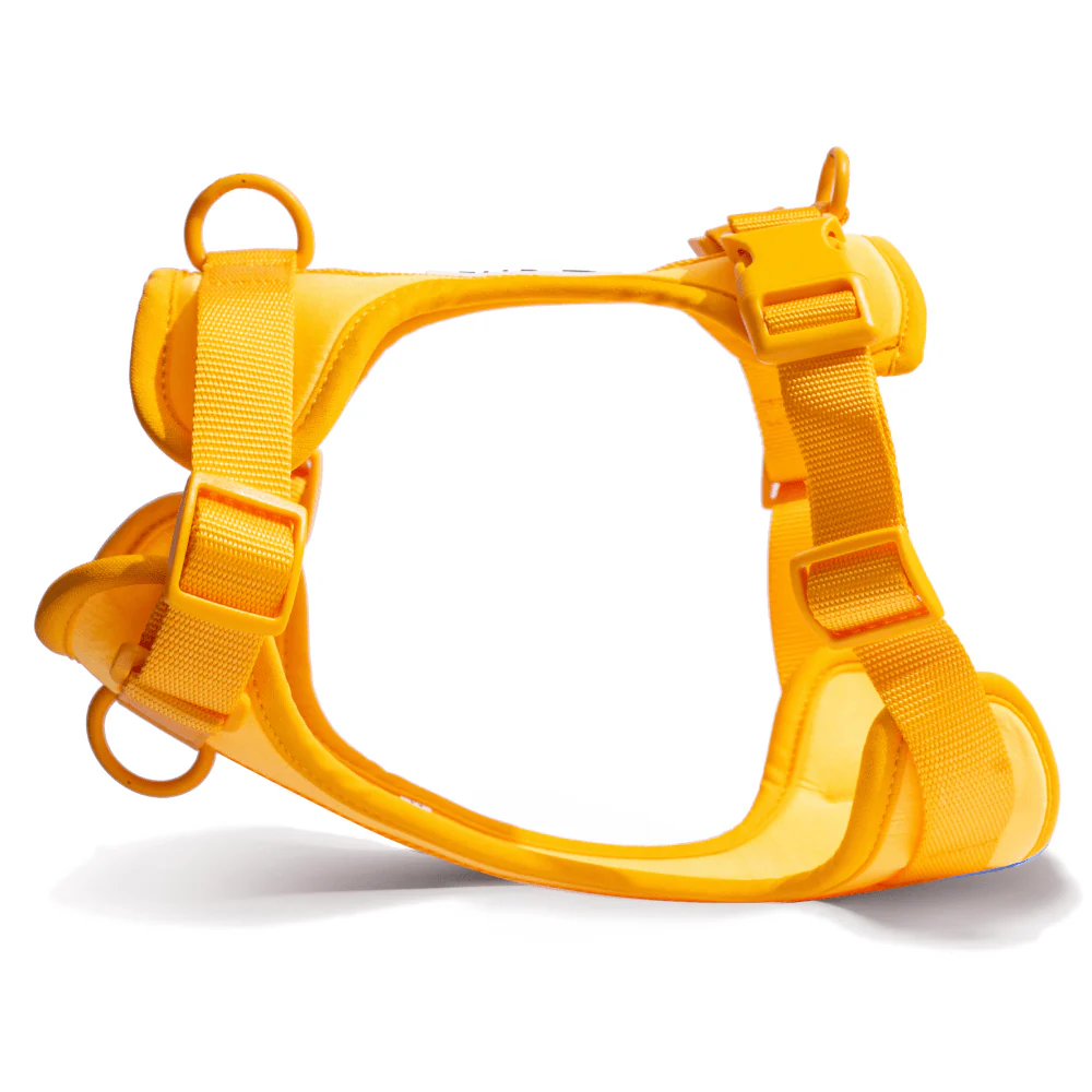 Furry & Co Bold Harness and Leash for Dogs Combo (Mango) - L - Image 2