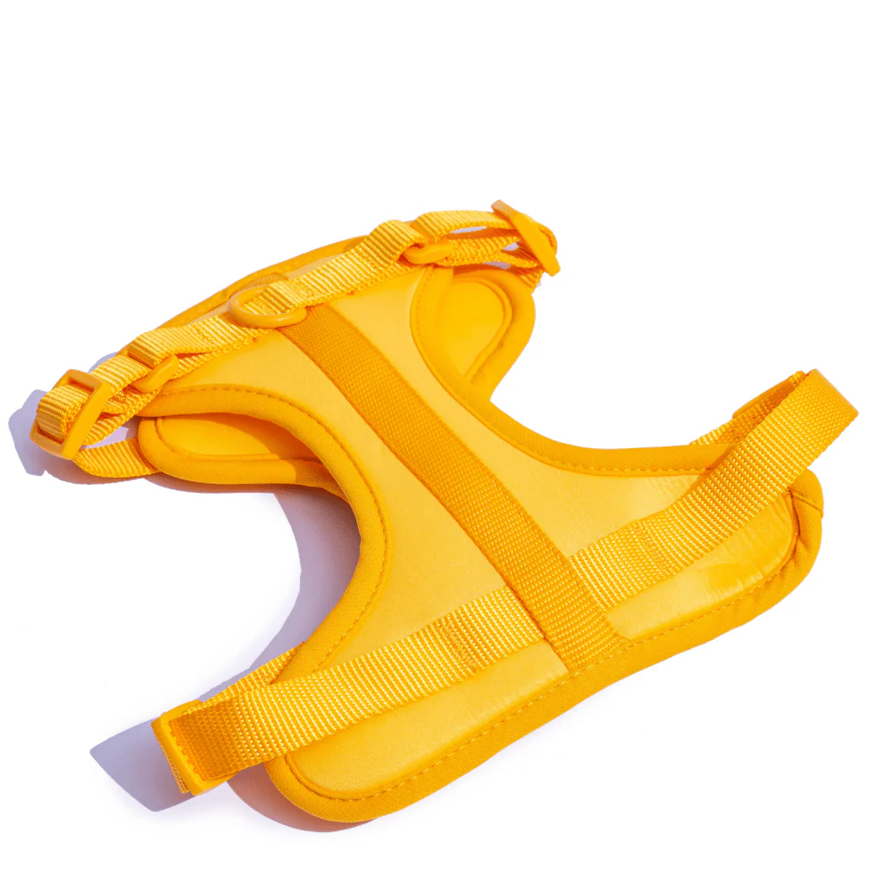 Furry & Co Bold Harness and Leash for Dogs Combo (Mango) - L - Image 4
