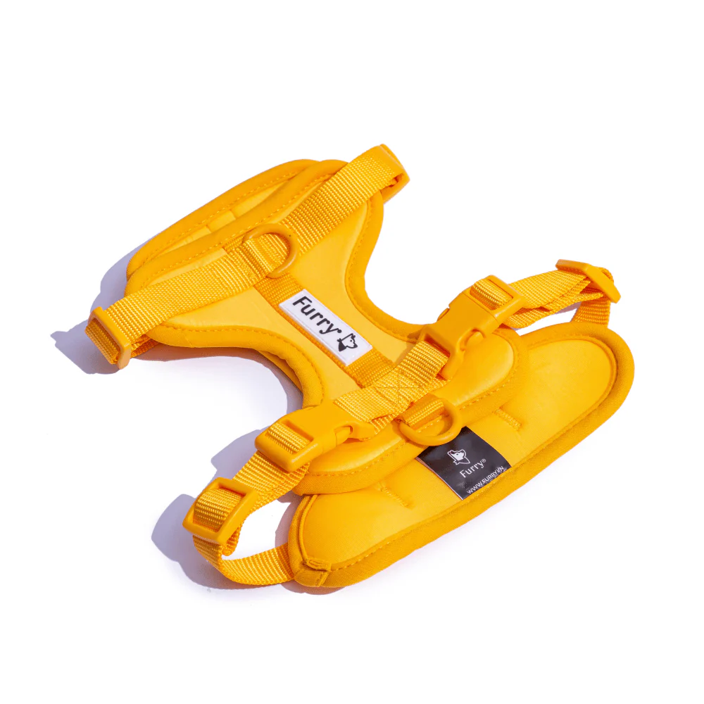 Furry & Co Bold Harness and Leash for Dogs Combo (Mango) - L - Image 6
