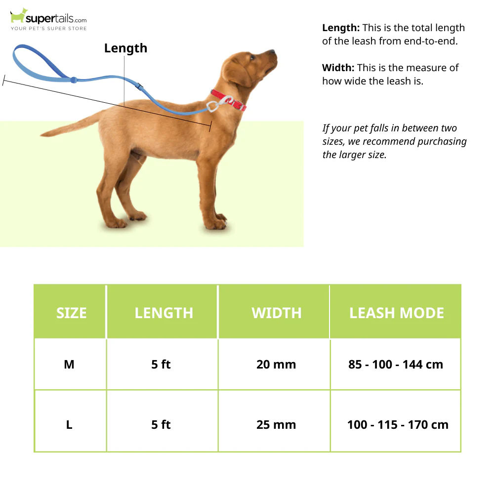 Furry & Co Bold Harness and Leash for Dogs Combo (Mango) - M - Image 10