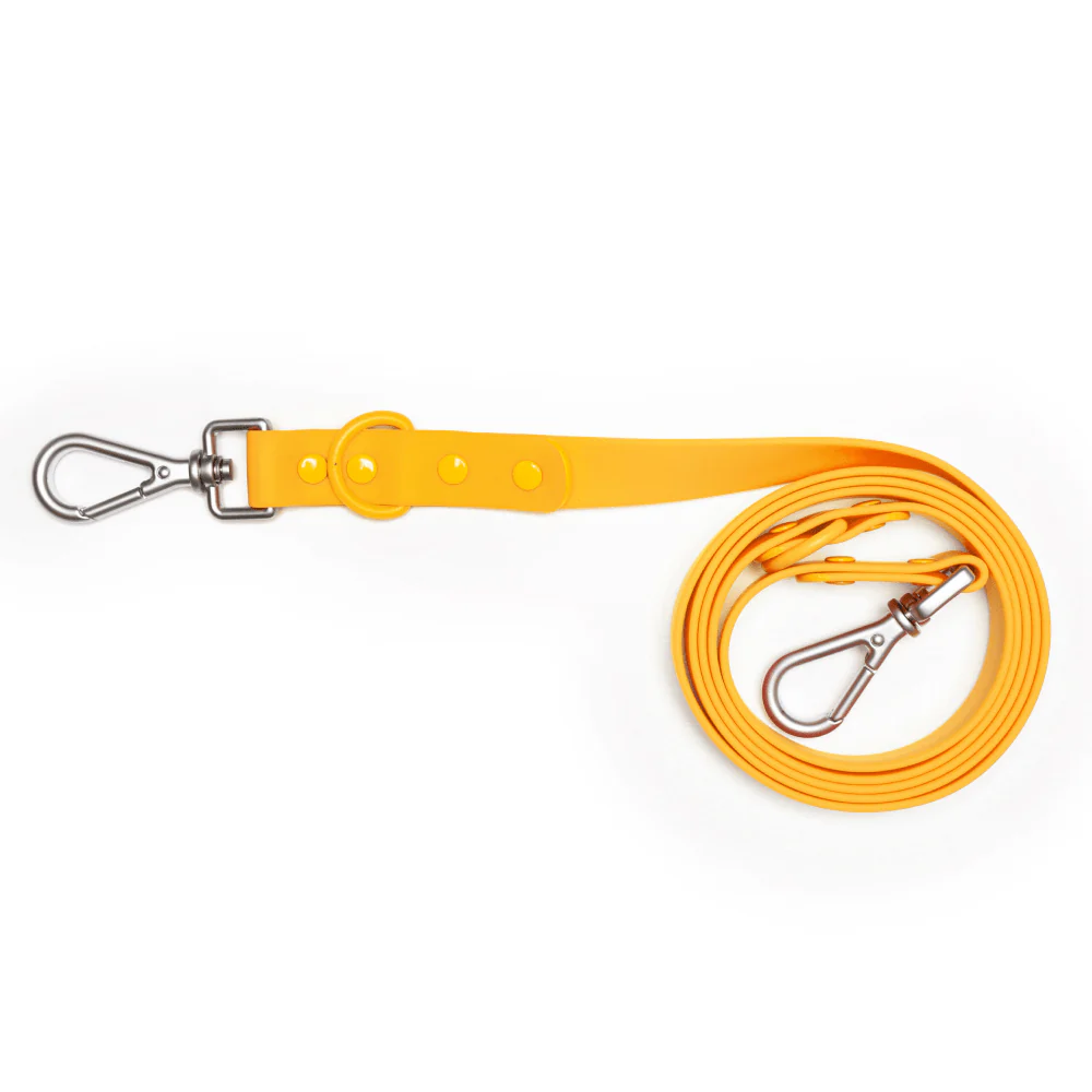 Furry & Co Bold Harness and Leash for Dogs Combo (Mango) - M - Image 8