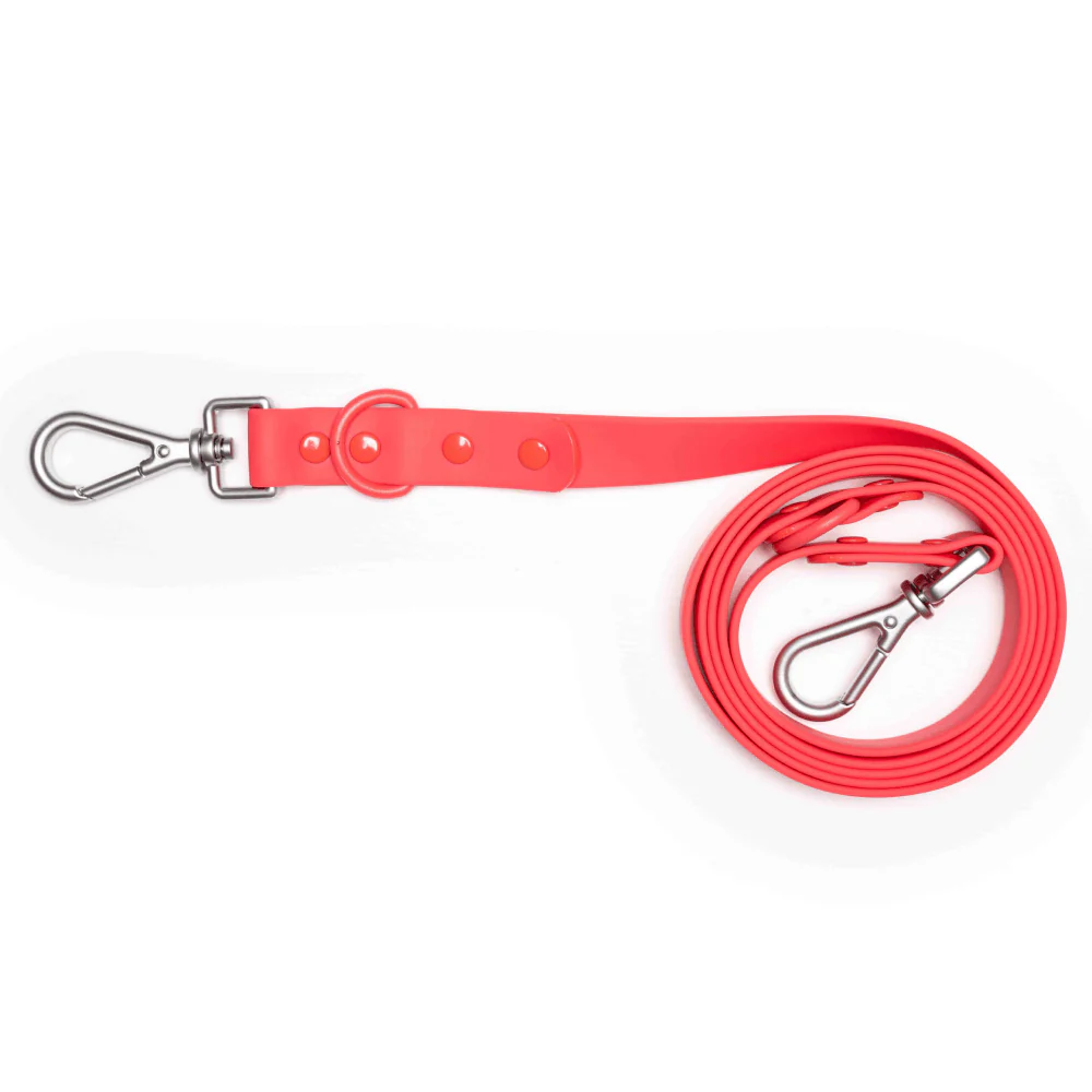 Furry & Co Bold Harness, Collar and Leash for Dogs Combo (Coral Red) - Image 16