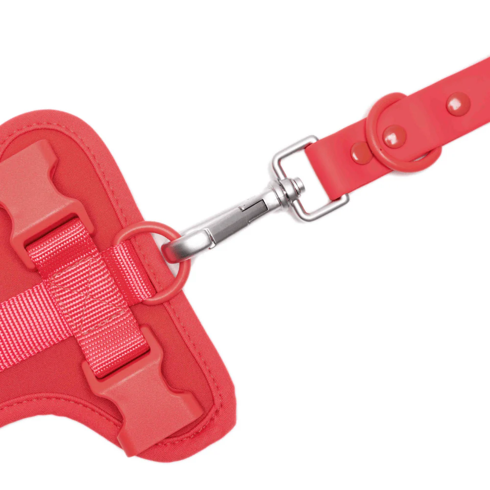 Furry & Co Bold Harness, Collar and Leash for Dogs Combo (Coral Red) - Image 19