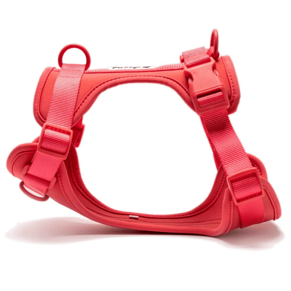 Furry & Co Bold Harness, Collar and Leash for Dogs Combo (Coral Red) - Image 2