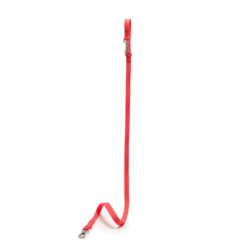 Furry & Co Bold Harness, Collar and Leash for Dogs Combo (Coral Red) - Image 22