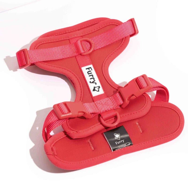 Furry & Co Bold Harness, Collar and Leash for Dogs Combo (Coral Red) - Image 6