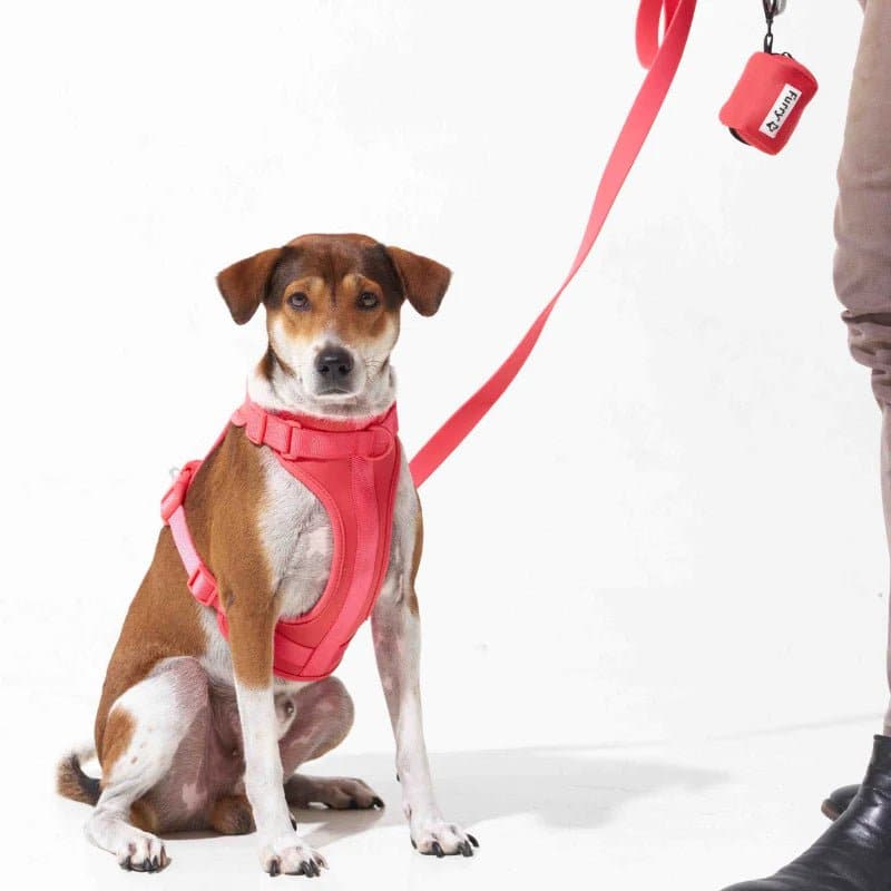 Furry & Co Bold Harness, Collar and Leash for Dogs Combo (Coral Red) - Image 8