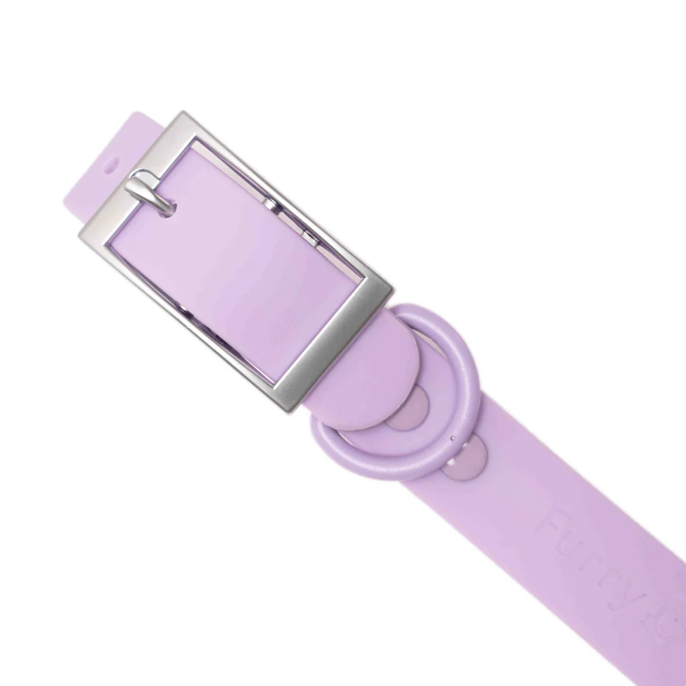 Furry & Co Bold Harness, Collar and Leash for Dogs Combo (Lilac) - Image 13