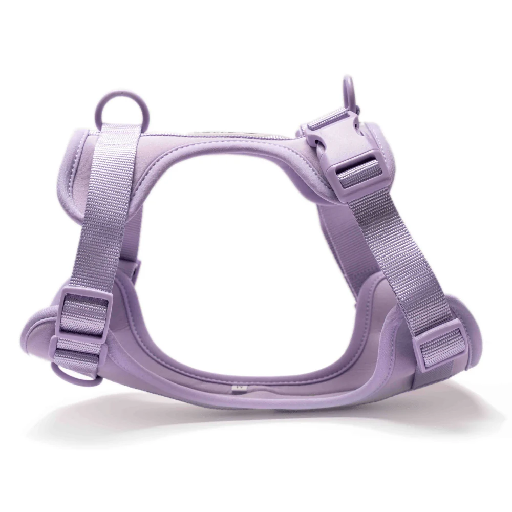 Furry & Co Bold Harness, Collar and Leash for Dogs Combo (Lilac) - Image 2