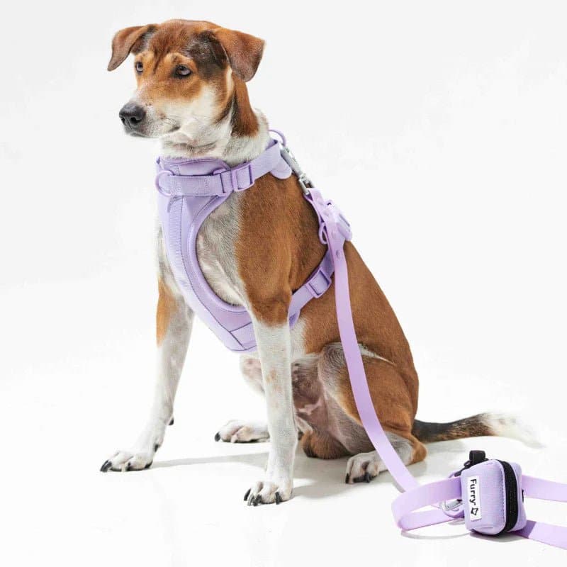 Furry & Co Bold Harness, Collar and Leash for Dogs Combo (Lilac) - Image 6