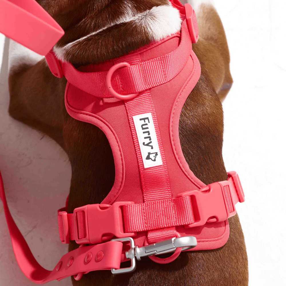 Furry & Co Bold Harness for Dogs (Coral Red) - Image 3