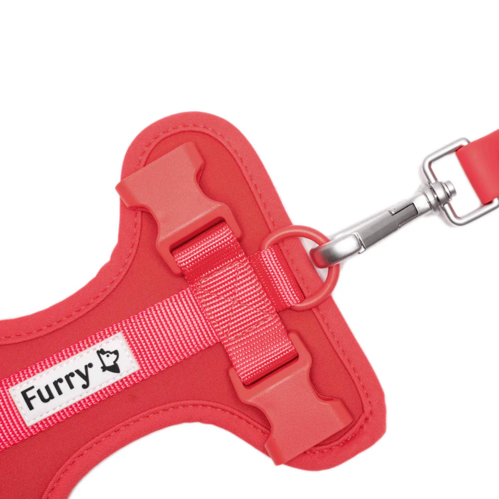 Furry & Co Bold Harness for Dogs (Coral Red) - Image 6