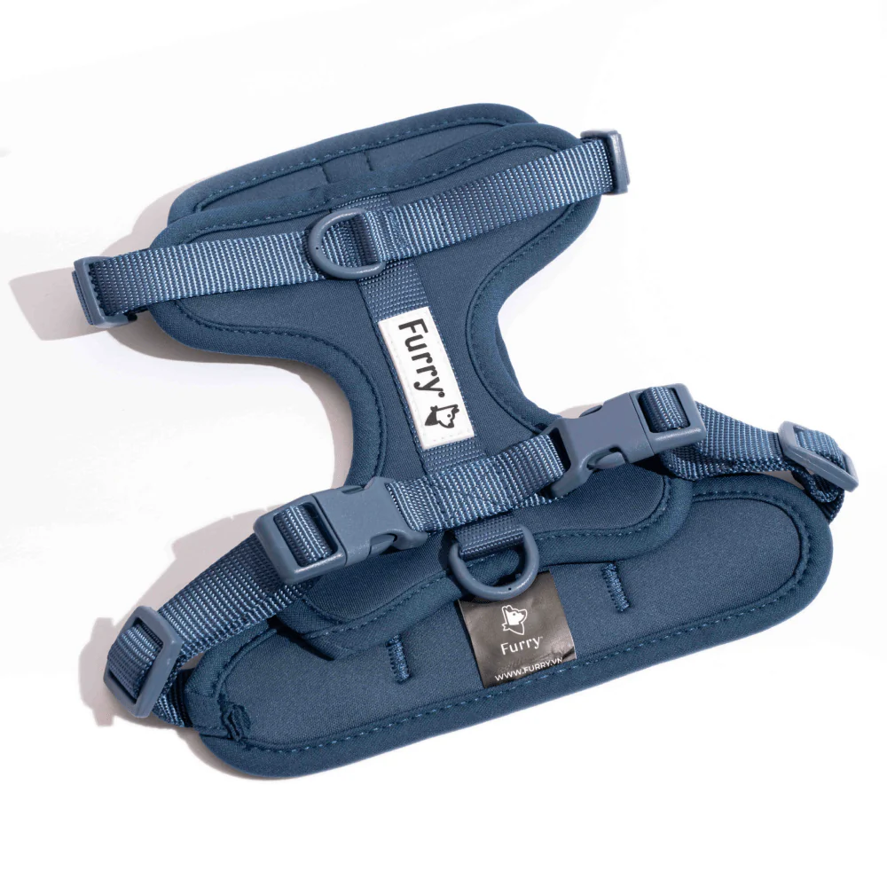 Furry & Co Bold Harness for Dogs (Indigo Blue) - Image 3
