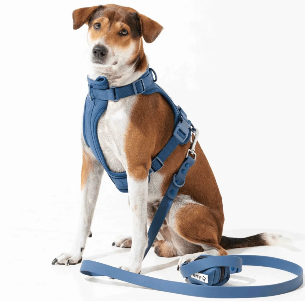 Furry & Co Bold Harness for Dogs (Indigo Blue) - Image 4