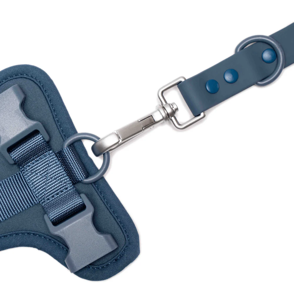 Furry & Co Bold Harness for Dogs (Indigo Blue) - Image 6