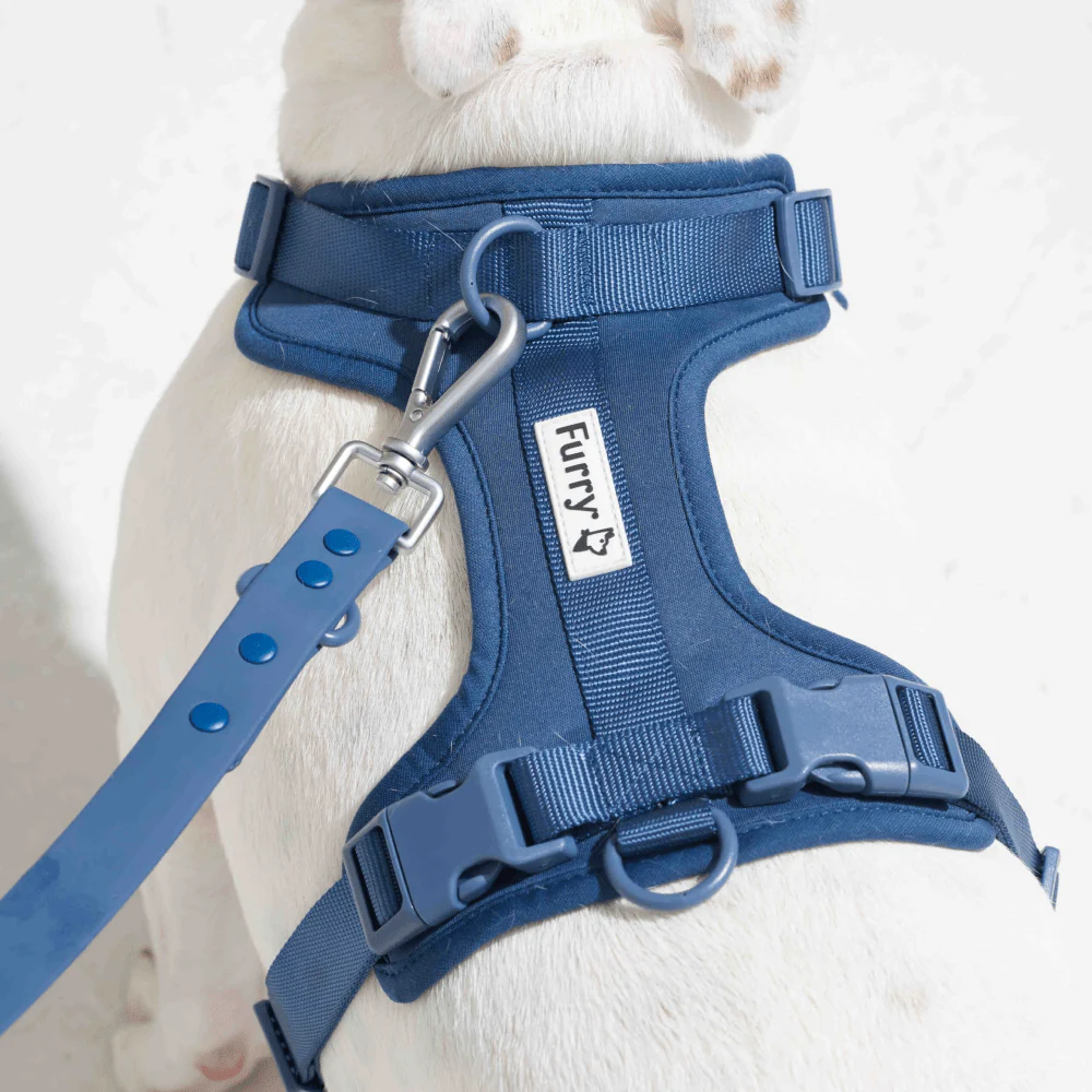 Furry & Co Bold Harness for Dogs (Indigo Blue) - Image 8