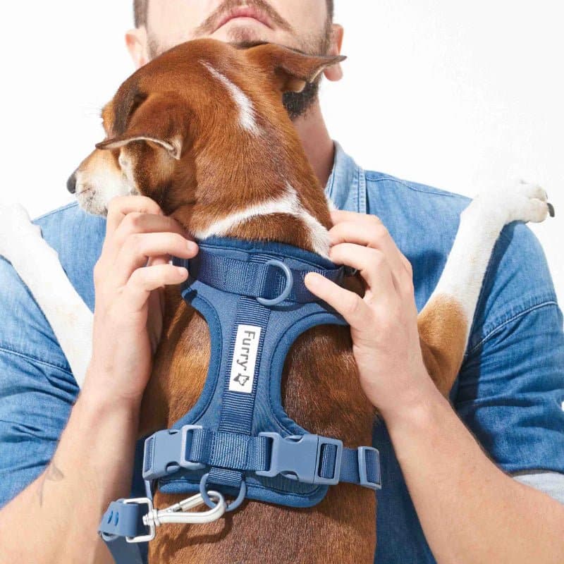 Furry & Co Bold Harness for Dogs (Indigo Blue) - Image 9
