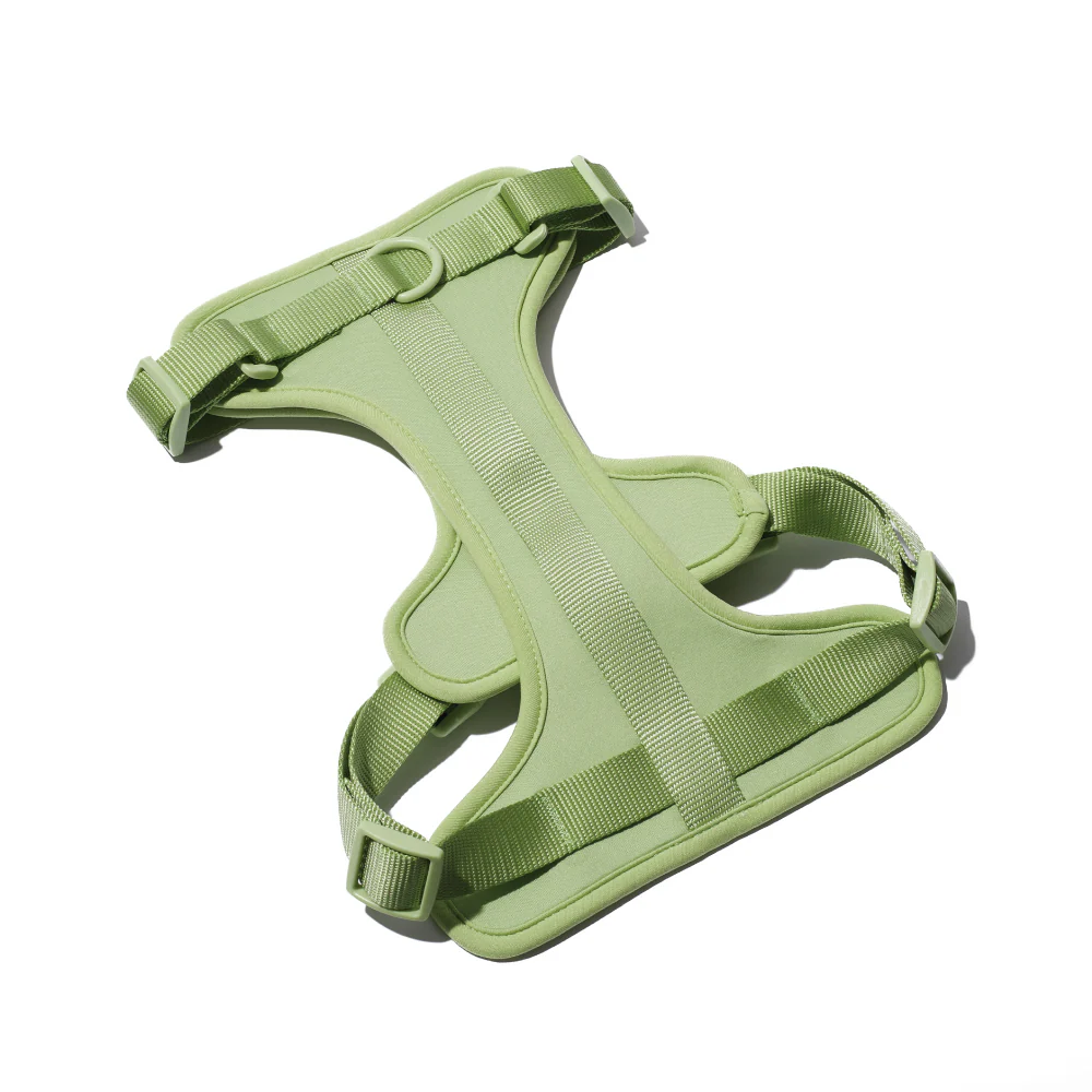 Furry & Co Bold Harness for Dogs (Matcha Latte) - Image 4
