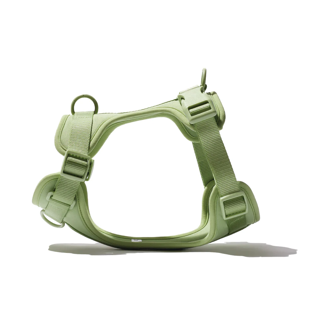 Furry & Co Bold Harness for Dogs (Matcha Latte) - Image 5