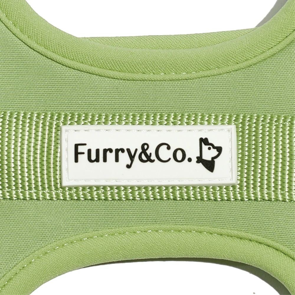 Furry & Co Bold Harness for Dogs (Matcha Latte) - Image 6