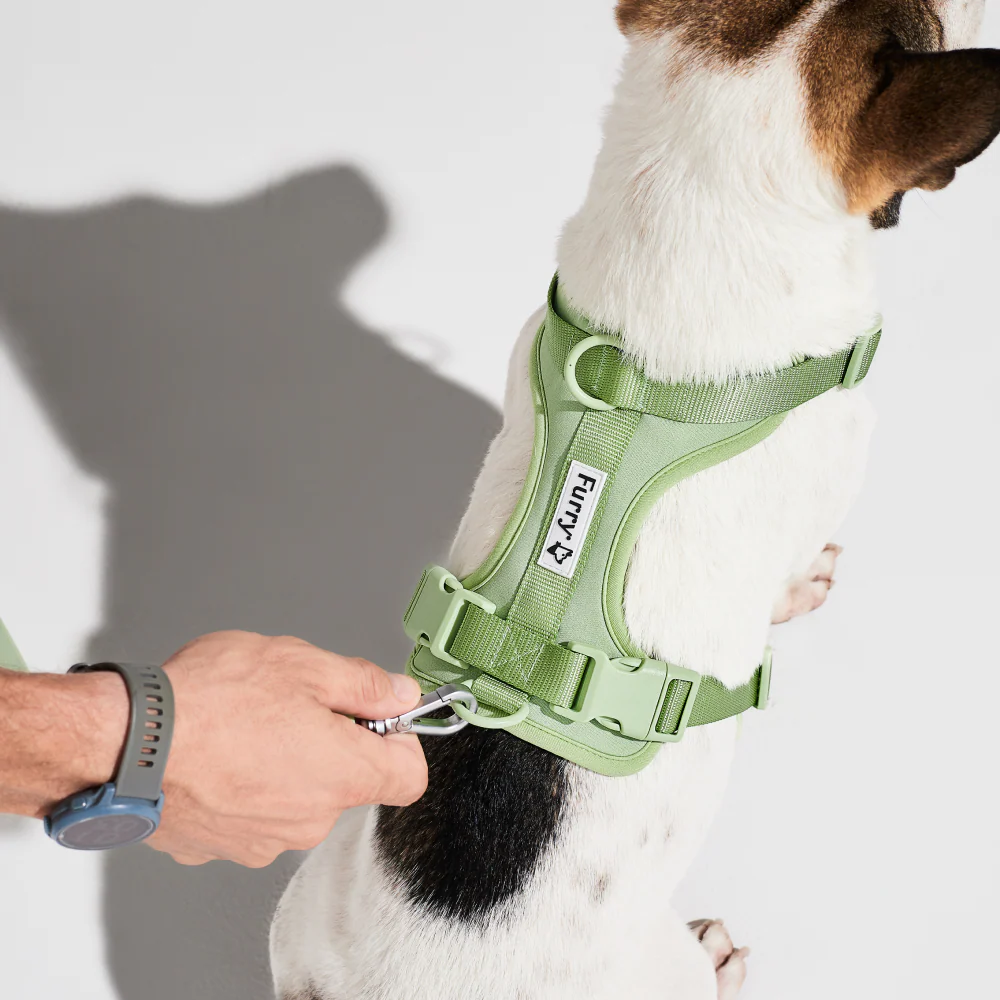 Furry & Co Bold Harness for Dogs (Matcha Latte) - Image 7