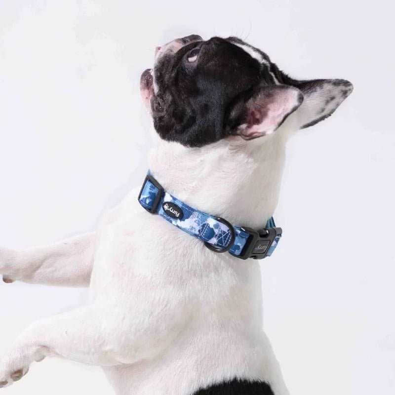 Furry & Co Cool Camo Comfort Collar for Dogs - Image 6