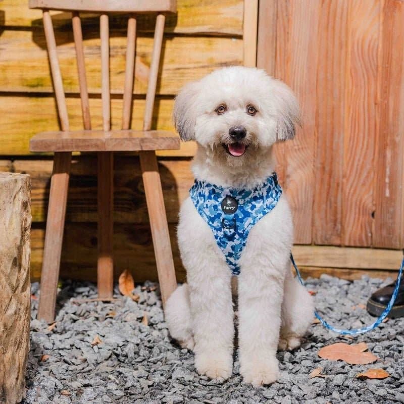 Furry & Co Cool Camo No Pull Harness for Dogs - Image 10