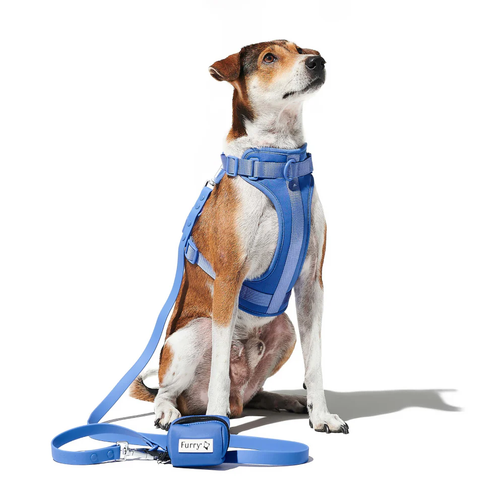 Furry & Co Bold Harness for Dogs (Everest Blue) - Image 10