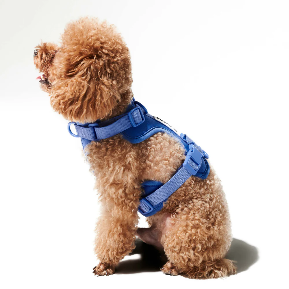 Furry & Co Bold Harness for Dogs (Everest Blue) - Image 11