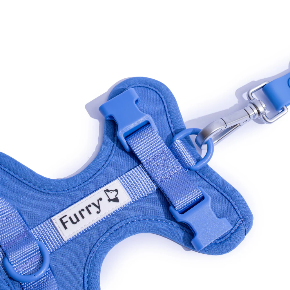 Furry & Co Bold Harness for Dogs (Everest Blue) - Image 3