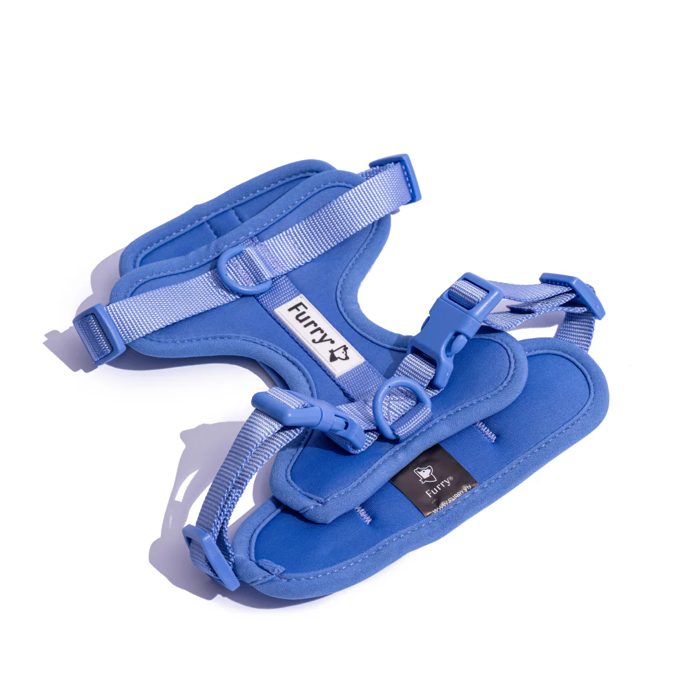 Furry & Co Bold Harness for Dogs (Everest Blue) - Image 4