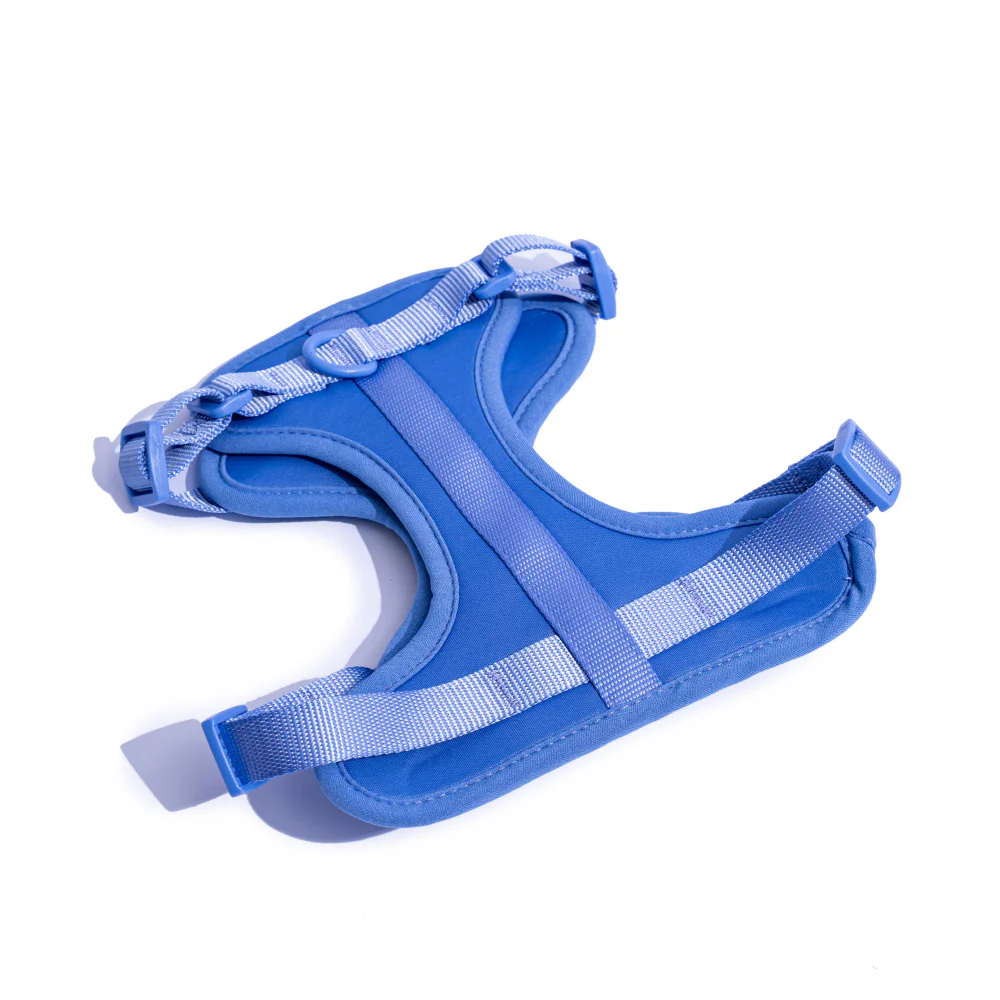 Furry & Co Bold Harness for Dogs (Everest Blue) - Image 5