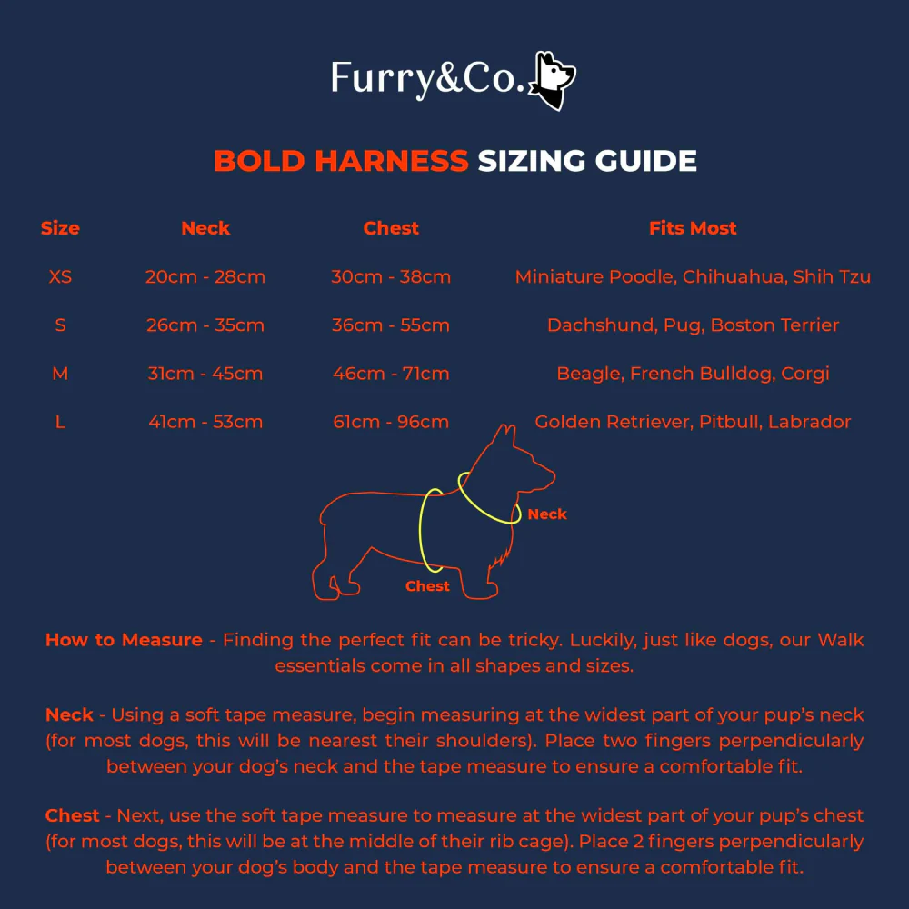 Furry & Co Bold Harness for Dogs (Everest Blue) - Image 6