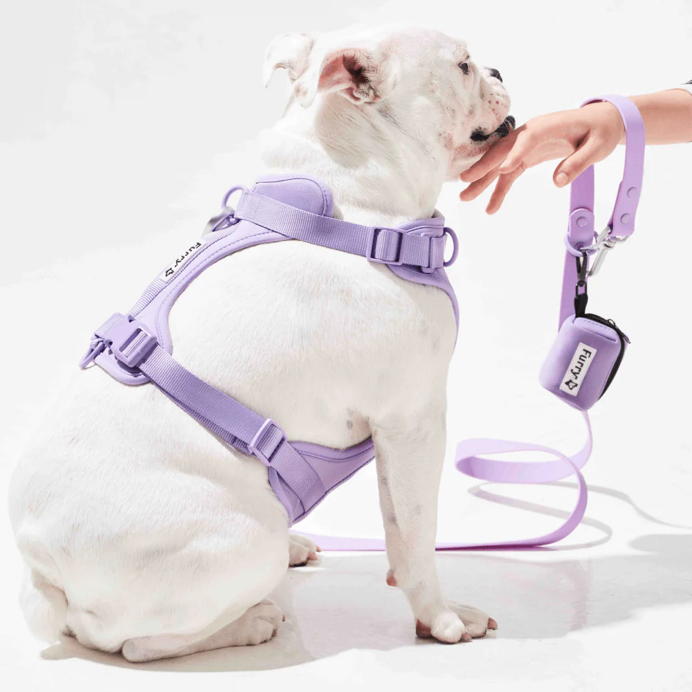 Furry & Co Poop Bag Holder for Dogs (Coral Red) - Image 2