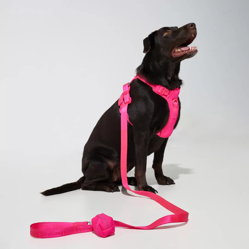 Furry & Co Poop Bag Holder for Dogs (Electra) - Image 2