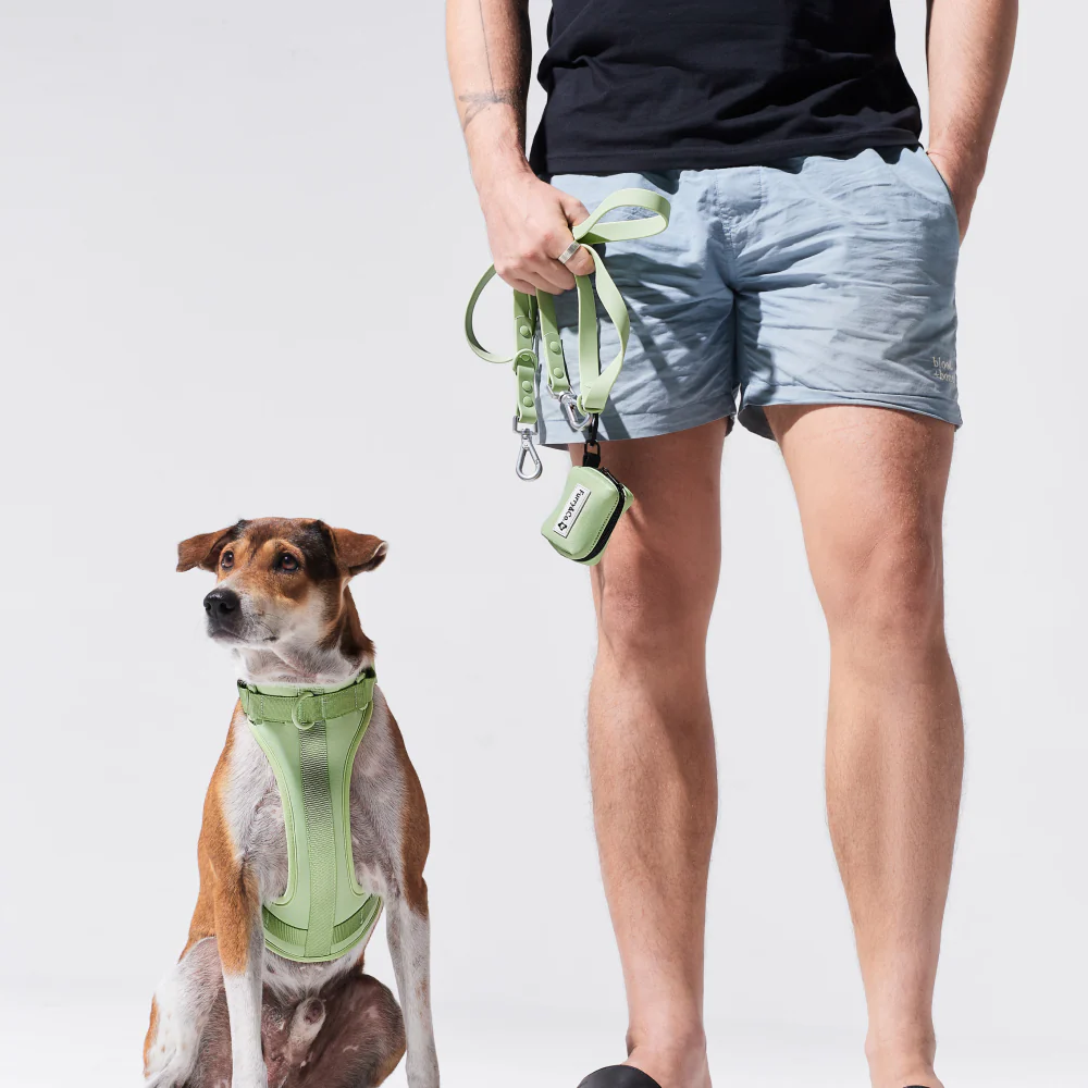 Furry & Co Poop Bag Holder for Dogs (Matcha Latte) - Image 4